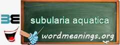 WordMeaning blackboard for subularia aquatica